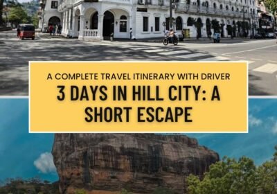 3 Days in Hill City: A Short Escape to the “City of Lights”