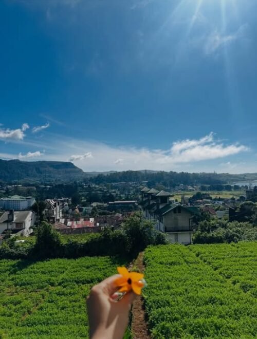 Hill Country Explorer (5 Days / 4 Nights)