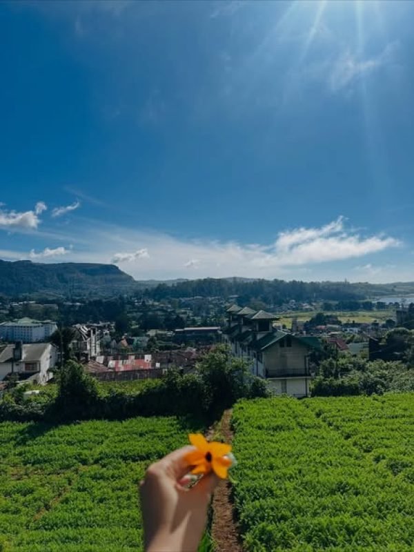 Hill Country Explorer (5 Days / 4 Nights)