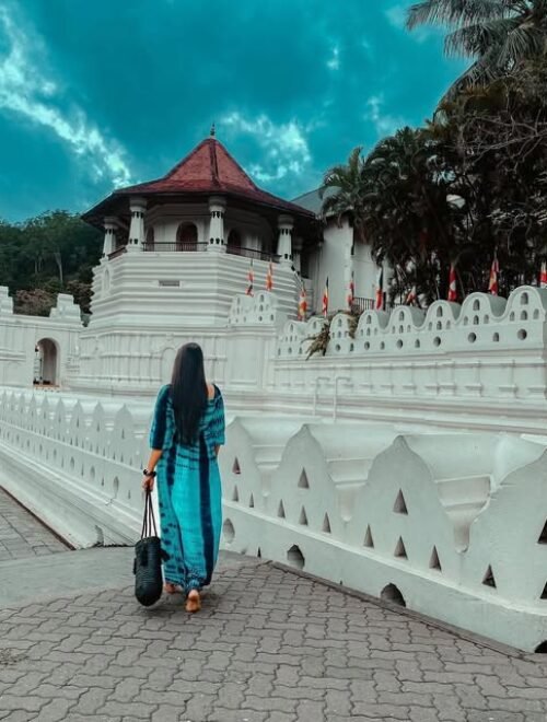 Classic Sri Lanka Round Tour (8 Days / 7 Nights)